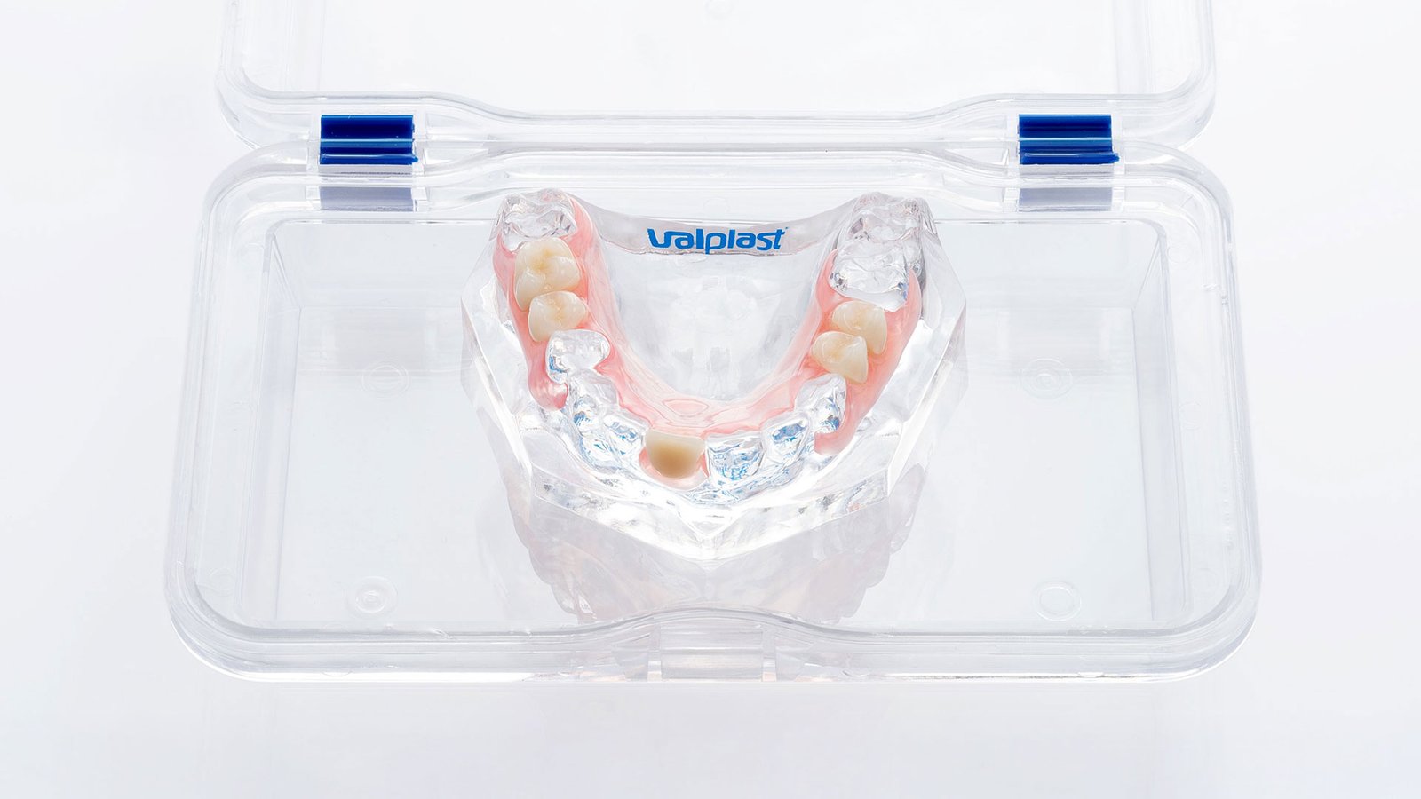 Product photography showcasing detailed close-up, natural lighting, and clean composition {{brizy_dc_image_alt imageSrc=